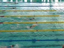 200MedleyNEAgeGroups - Swimming video 200MedleyNEAgeGroups