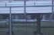 DRake Race befroe