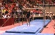 UTAH (Jamie Deetscreek 9.800)