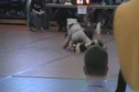 Quinton Murphy semis