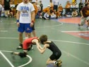 Shane-Gorilla Tourney-2