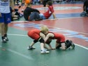Shane-Triston-Gorilla Tourney-Round 2