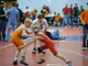Konner-Gorilla Tourney-5