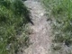 Nats-top cross country course