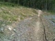 Nat cross country preview