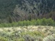 Nats-mid course downhill