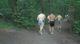 TRYON CREEK JULY 17th