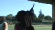 LaShinda Demus 400H champ USA Outdoor Championships