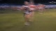 Memphis Twilight Girl's HS 5k (*Kroeger)