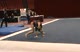 OU (Hollie Vise) - 9.925
