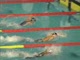 Phelps World Record at Worlds