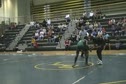 Shatique vs. Tucker