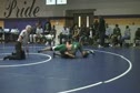 Thilee vs