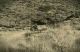 Ancient Running