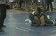Corey vs Johnson