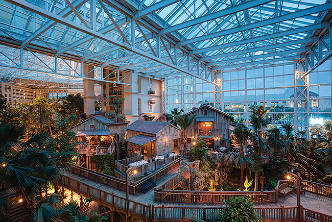 Everglades Atrium