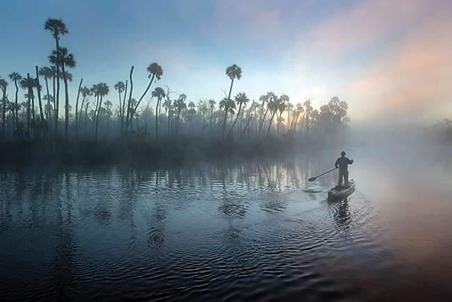 Carlton Ward Jr. | Florida Icon - Florida Trend