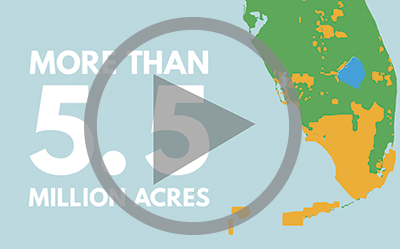 James Madison Institute video