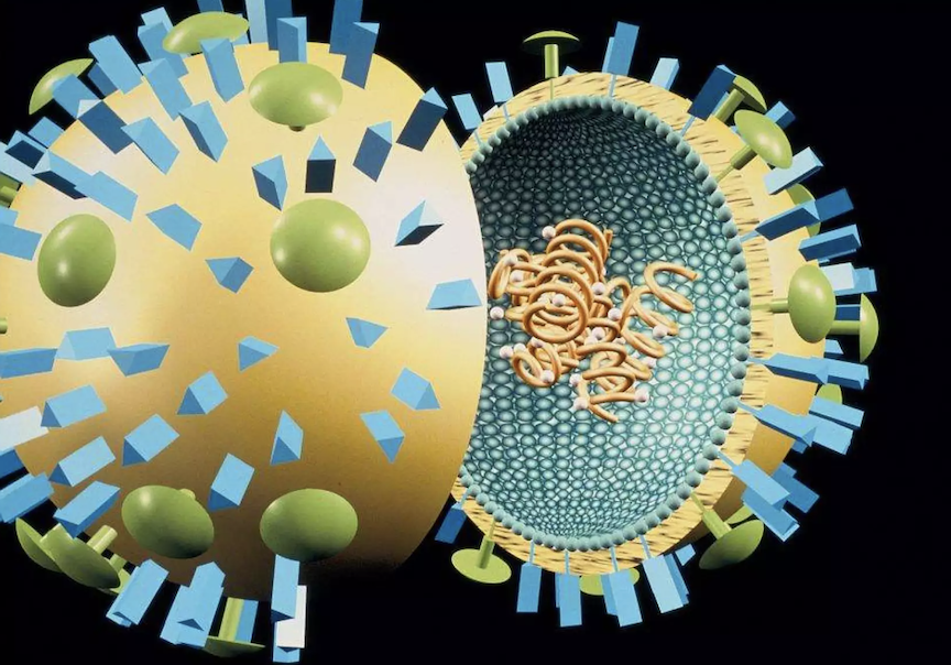 Could A Flu COVID twindemic Come To Florida This Winter Florida 