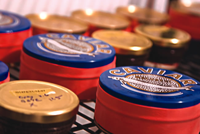 Mote Caviar