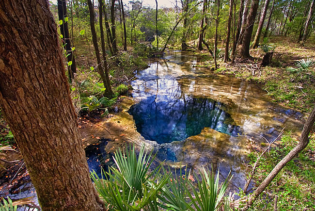 Middle Chipola River, Jackson and Calhoun counties