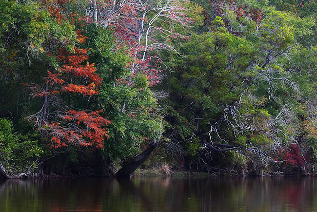 Shoal River Buffer, Okaloosa County