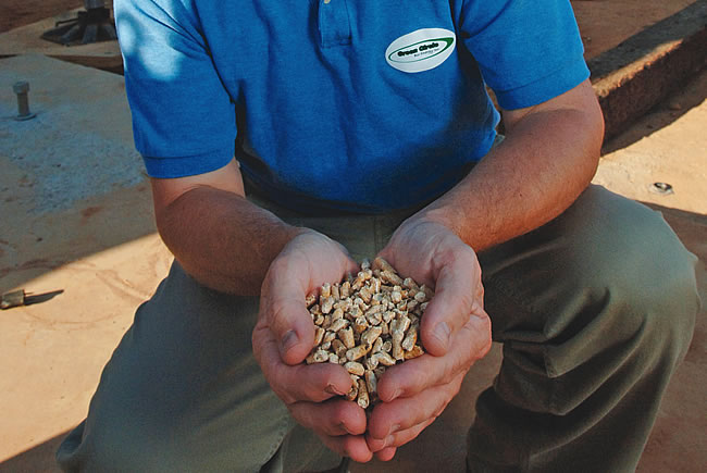 wood pellets