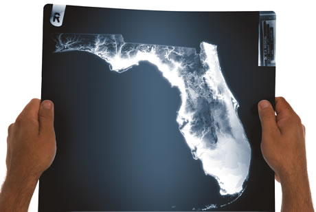 Examining Florida
