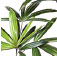 crop image