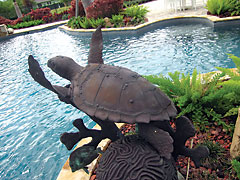 Wakeman Pool