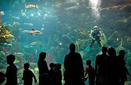 Florida Aquarium