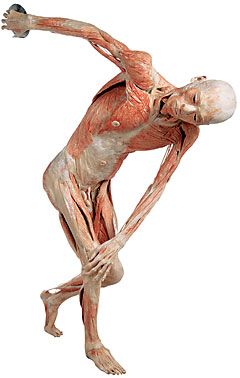 Body w/ discus