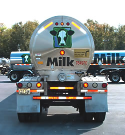 Milk