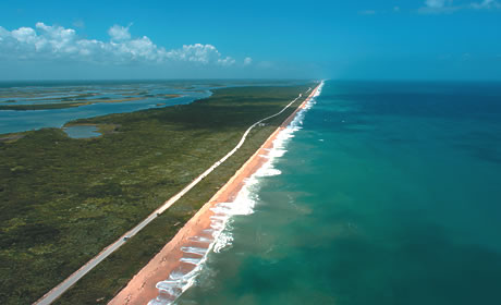 Canaveral National Seashore