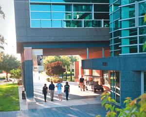 University of South Florida - Tampa