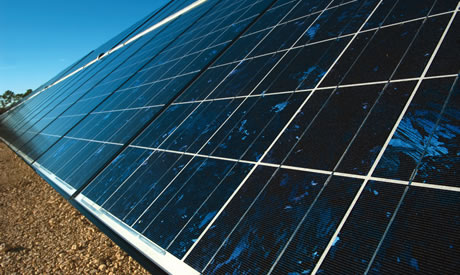 FGCU's solar panel field