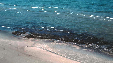 Ixtoc I ravaged shoreline