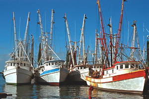Key West shrimp boats