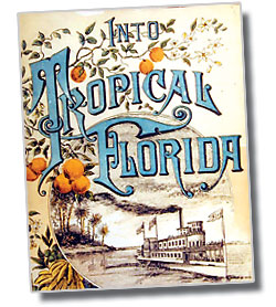 Into Tropical Florida