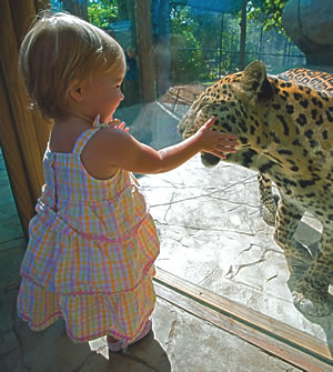 Naples Zoo