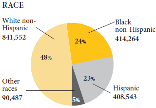 Fort Lauderdale - Chart of race distribution