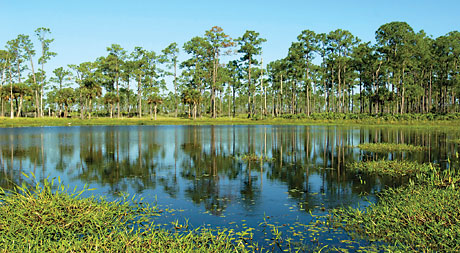 Babcock Preserve