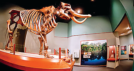Museum of Florida History