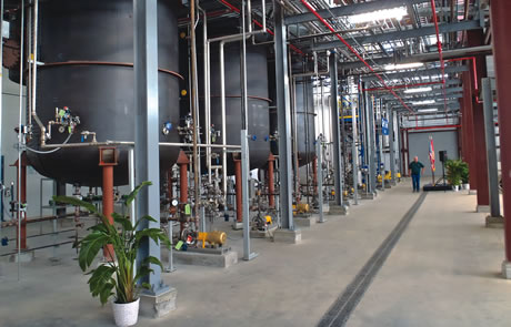 Buckeye Technologies/UF biomass plant