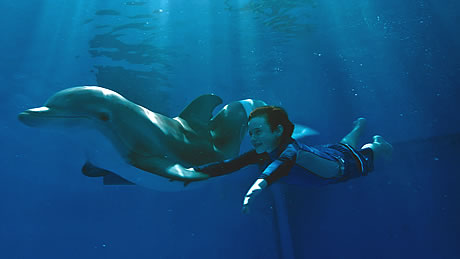 Dolphin Tale