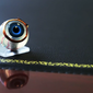 The Bionic Eye