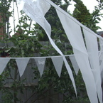 Dscf6572_thumb
