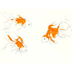 Folksygoldfish_thumb