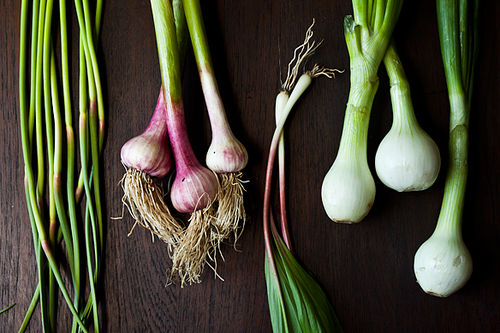 Food52_04-17-12-6641