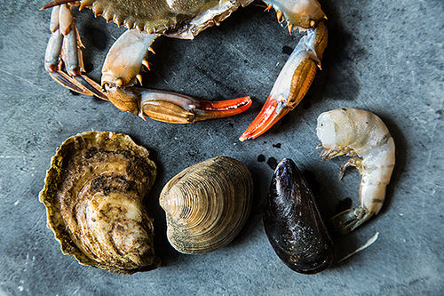 Food52_09-04-12-8637